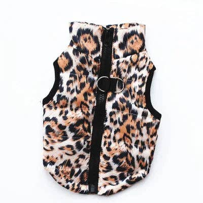 Koiran Takki, Leopard, XS