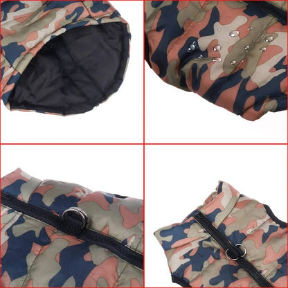 Koiran takki, Camo, L